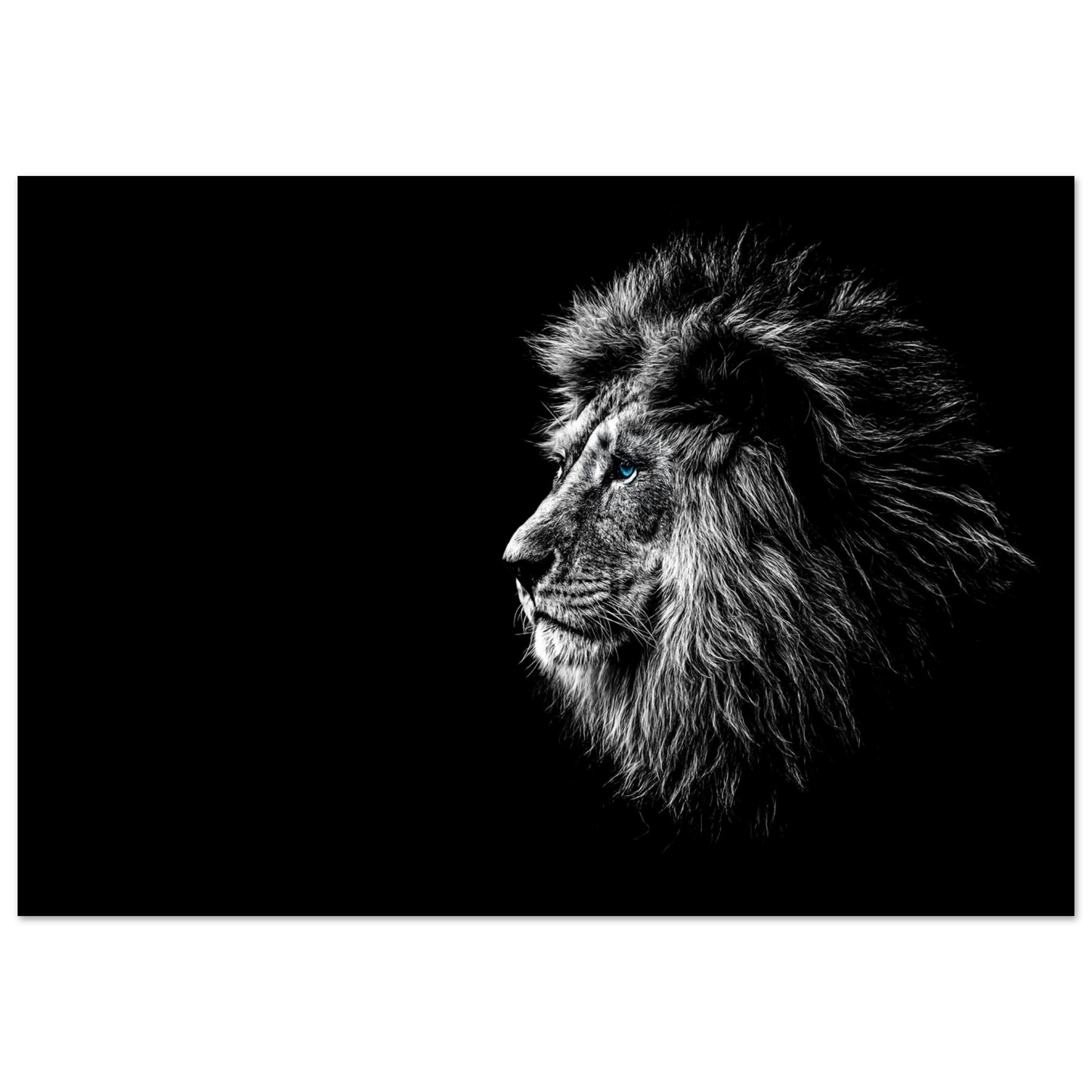 359770d0-7385-4205-9cb3-c2263ec82510