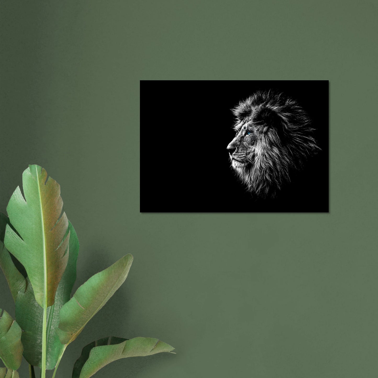 b8184c04-3057-4555-8094-209701f9bc13