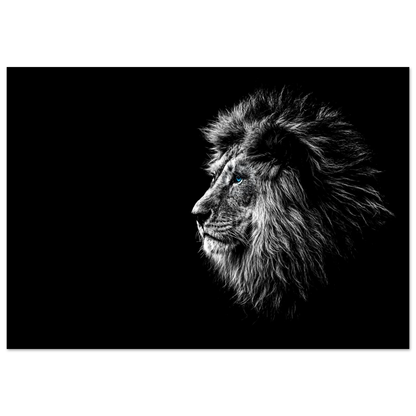 359770d0-7385-4205-9cb3-c2263ec82510